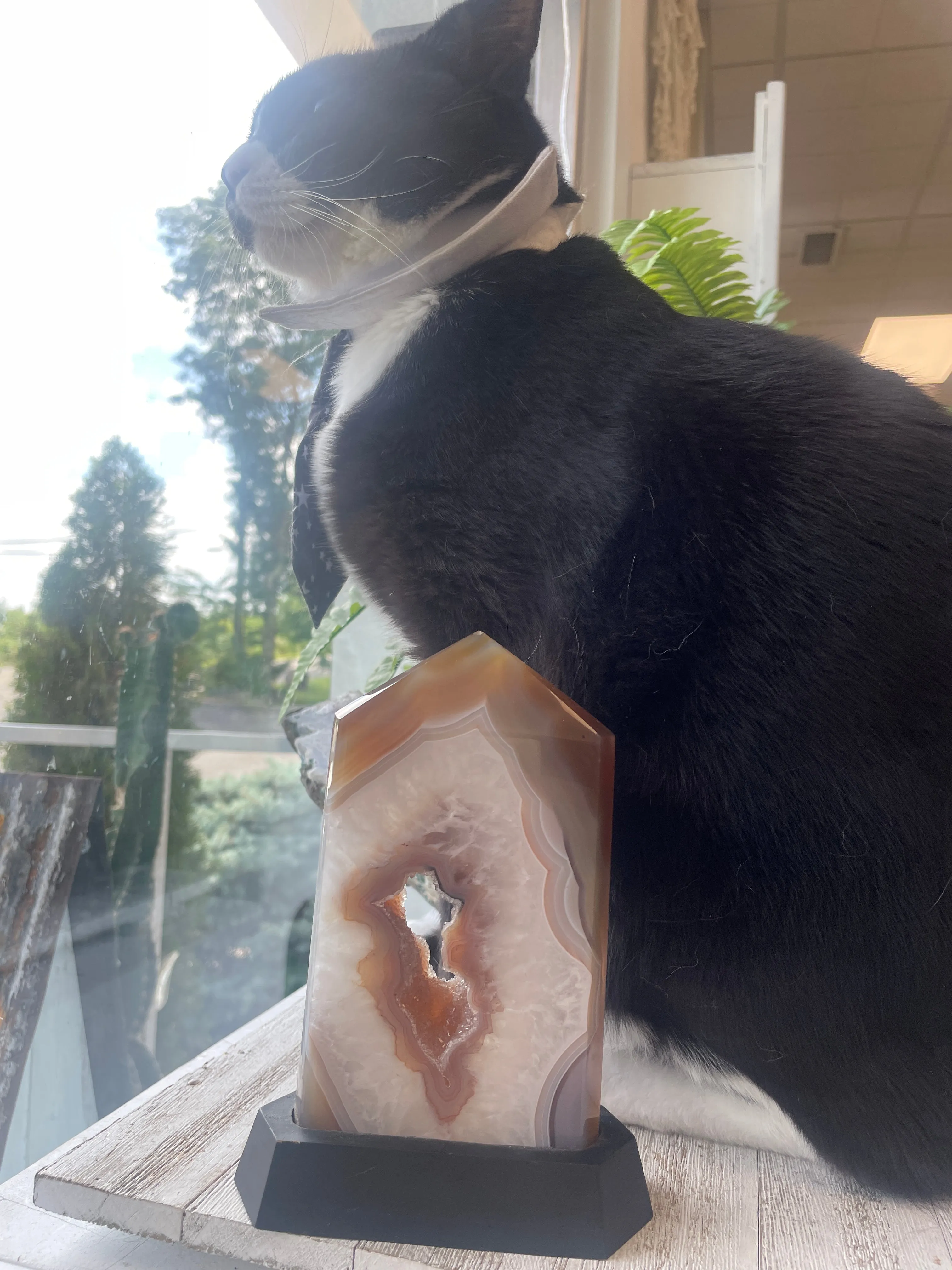 Agate Druzy on stand