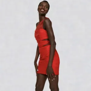 Ashley Park x RTR Red Chiffon Mini Dress, Sheer, Cutouts, Drawstring -sz 6