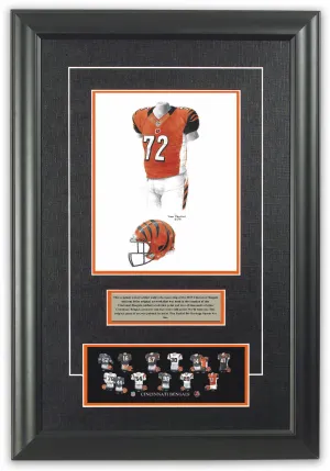 Cincinnati Bengals 2013