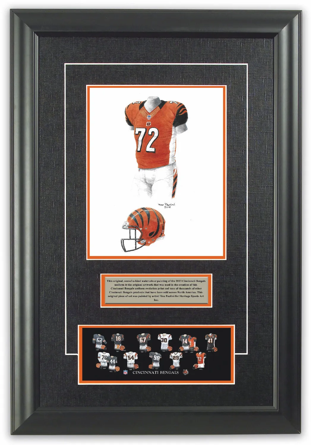 Cincinnati Bengals 2013