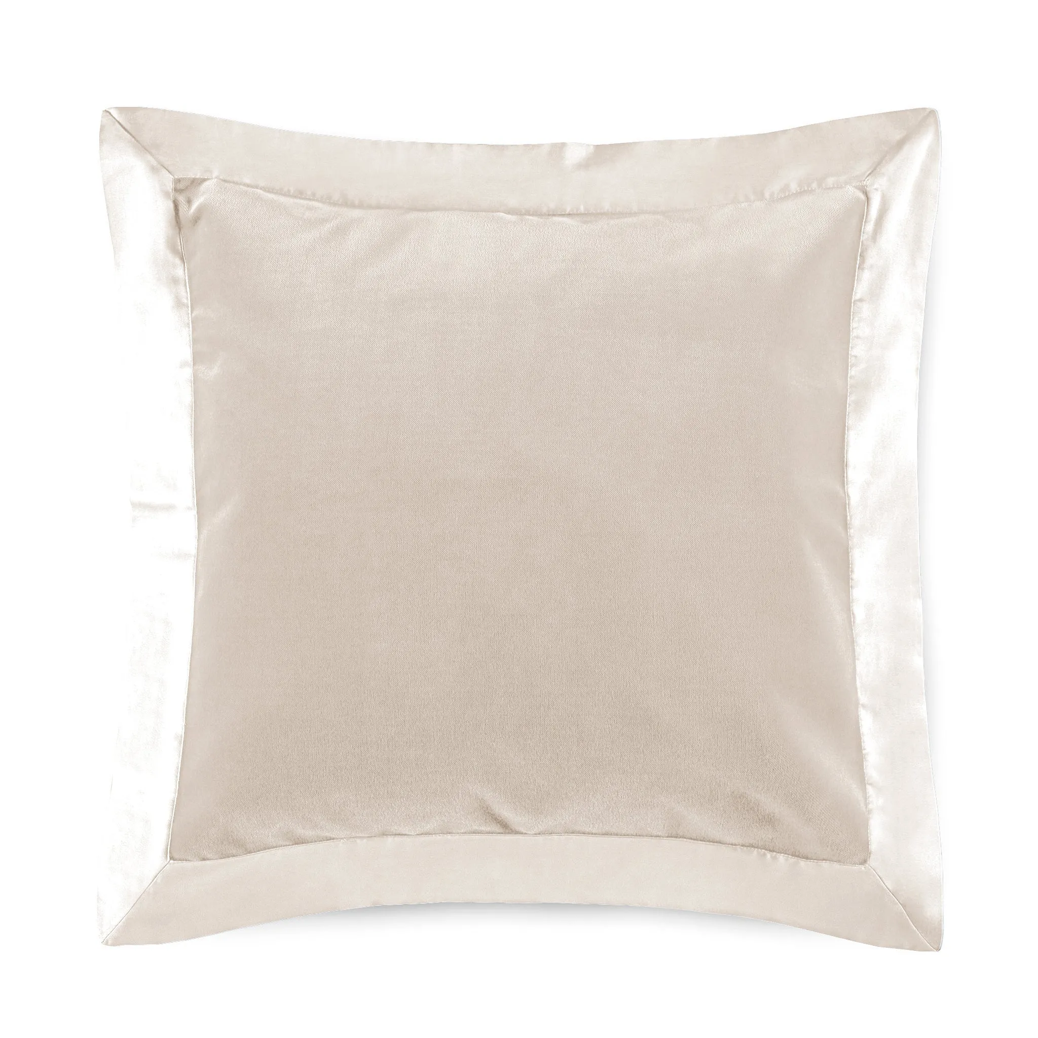 cirrus decorative pillow