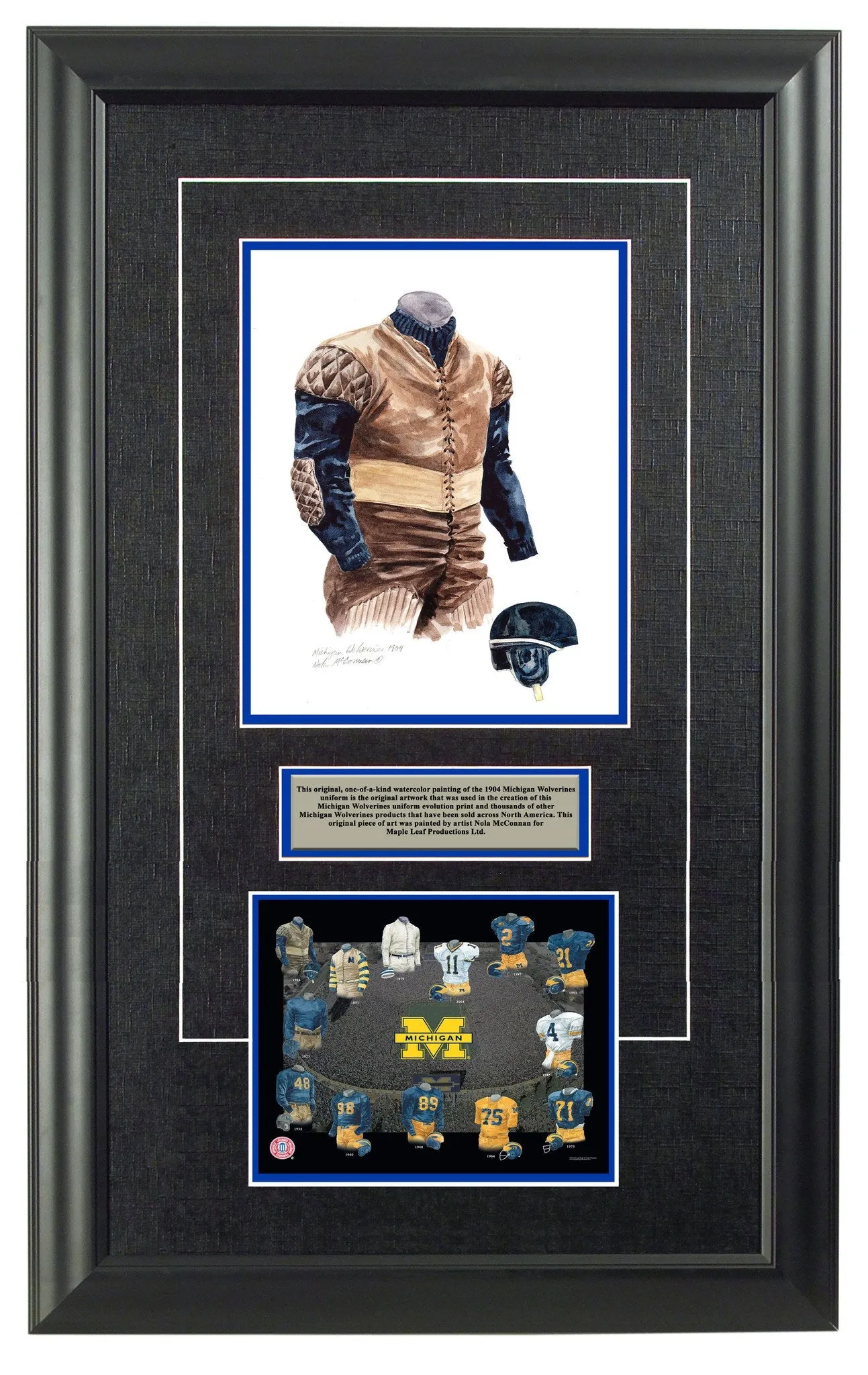 Michigan Wolverines 1904