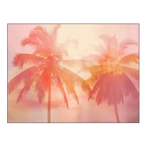 Palm Breeze II