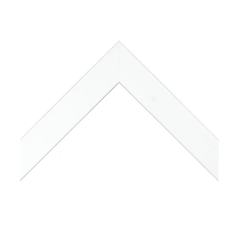 Palm Breeze II