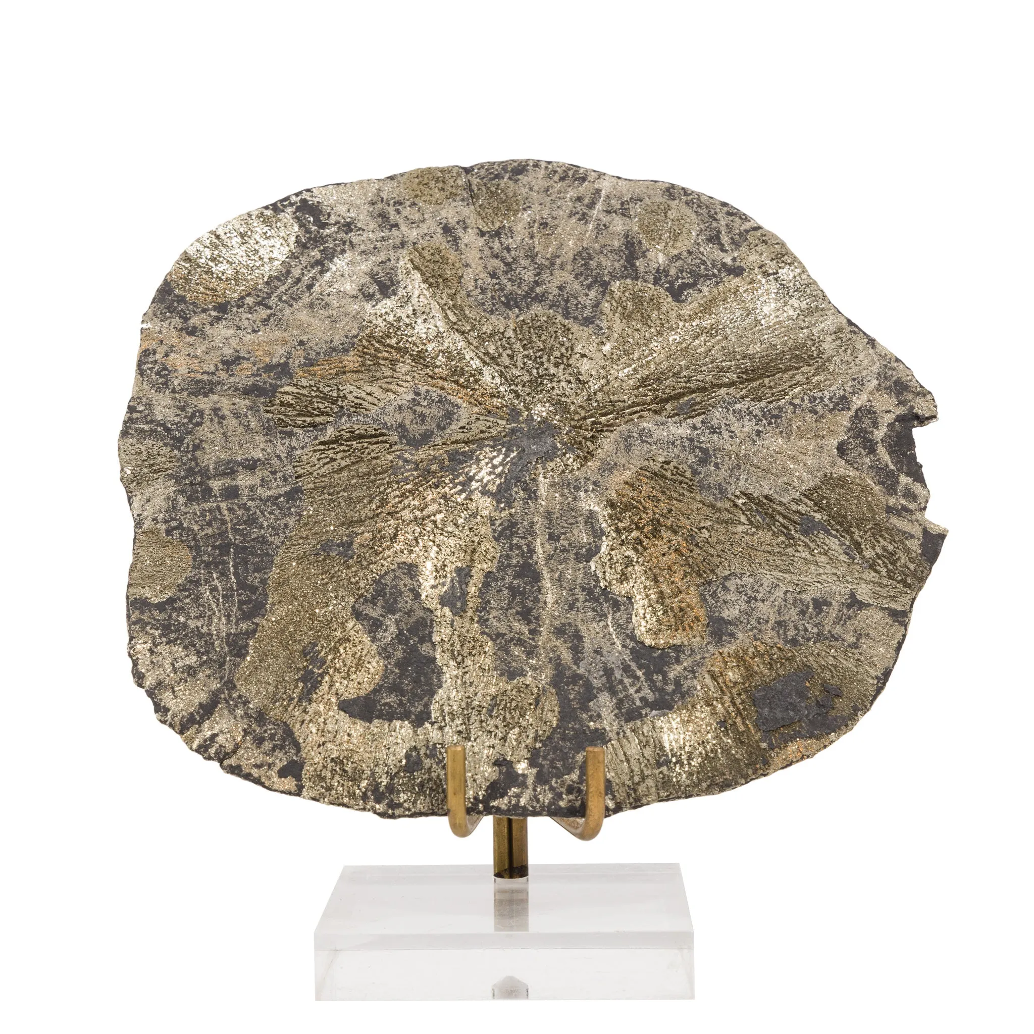 Pyrite Sun 5.75 Inch 407 Gram Natural Crystal Specimen