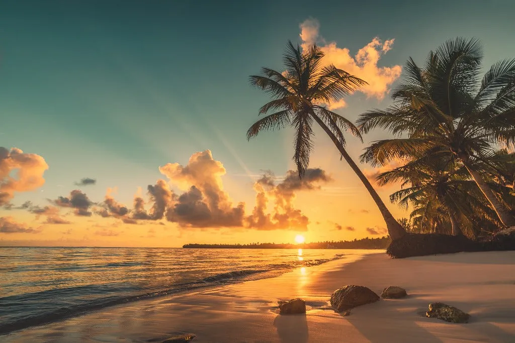 Romantic Sunset Wallpaper Mural
