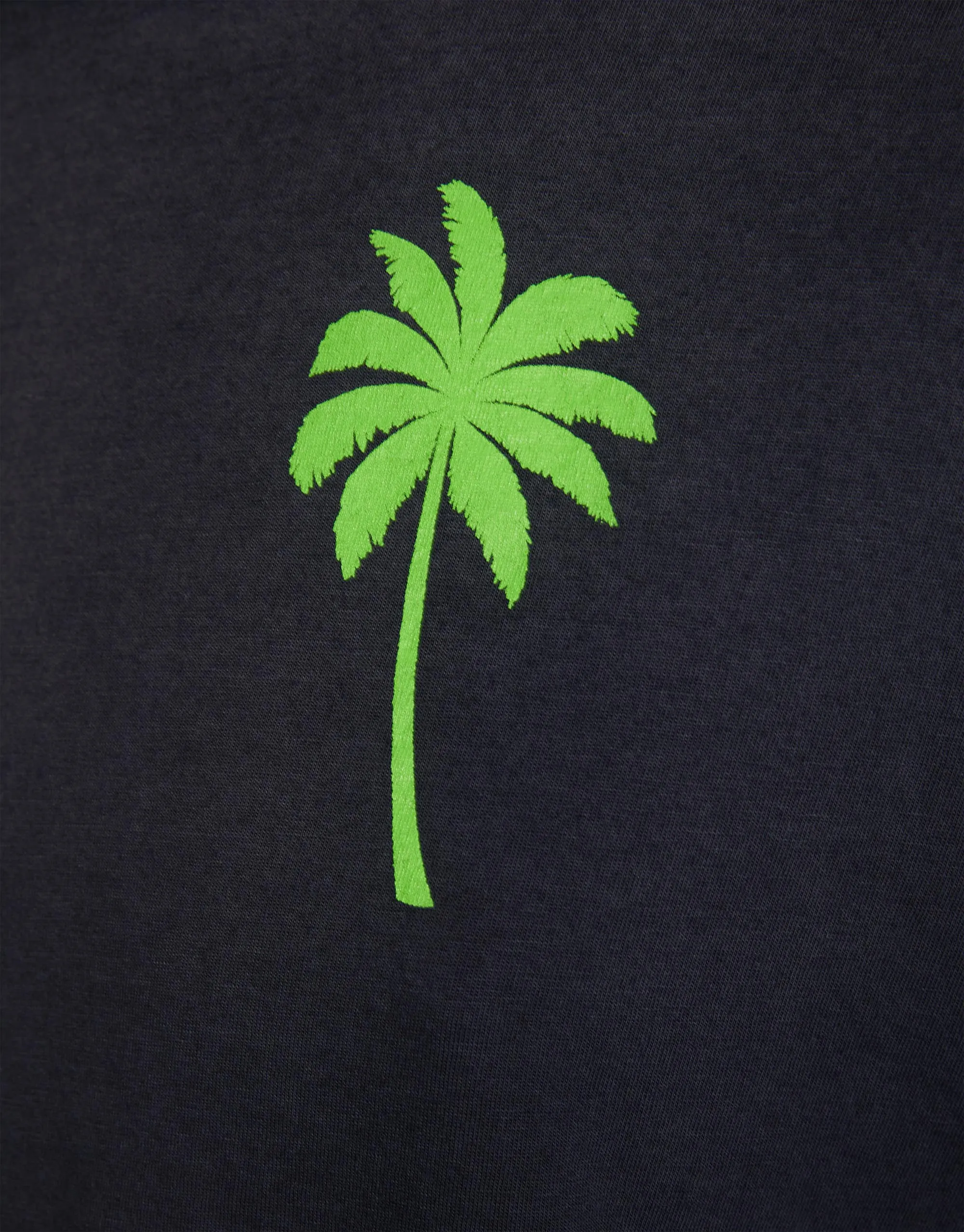 Rue Tropical Shark