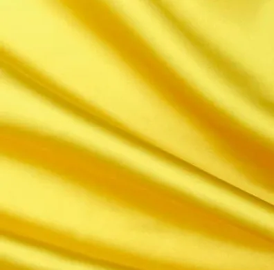 Silk Dress
