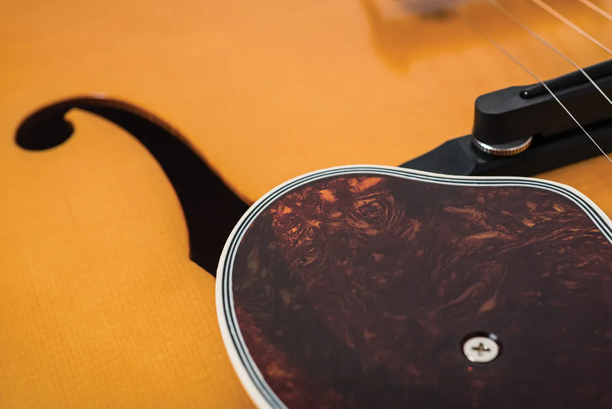 SOLD - Epiphone Masterbilt De Luxe F-Hole Archtop – 2016