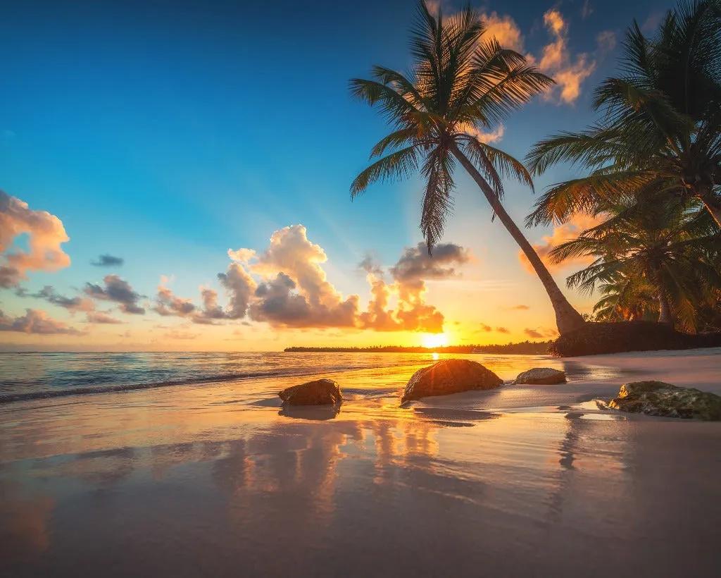 Sunset Beach Wallpaper Mural