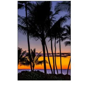 Tropical Sunset