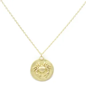 Zodiac Charm